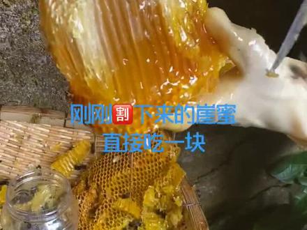 刚刚割下来的崖蜜,直接吃一块,这样的蜂蜜您想不想来一口呢?😂😂#美食推荐官 #舌尖上的美食