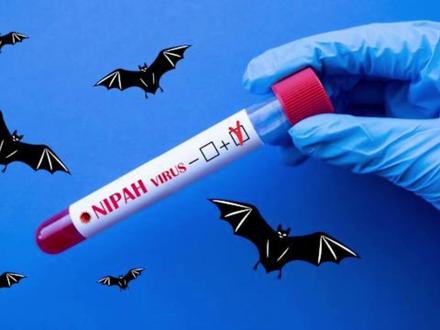 没有疫苗的“死亡病毒”,终于被破解了 #尼帕病毒 #疫苗 #蝙蝠 #开拍即新年