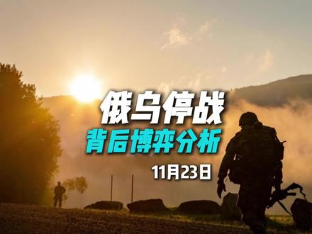 俄乌停战!背后惊人博弈分析#俄罗斯#乌克兰#美国#硬核深度计划