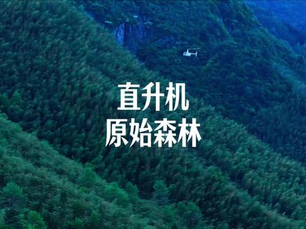 三位数坐直升机,住原始森林,不香吗??