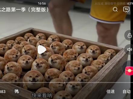我的刀盾1~6级完整版