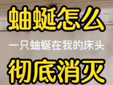 蚰蜒怎么彻底消灭?家里有蚰蜒不要怕,教你一招轻松消灭蚰蜒。#除蜈蚣 #蠼螋药 #衣鱼药 #潮虫药 #马陆虫 @抖音小助手
