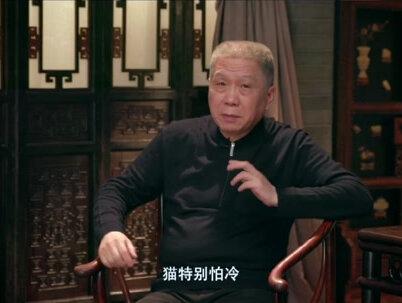 过冬为什么叫猫冬,不叫狗冬?#马未都 #传统文化