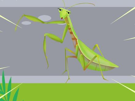 #动画 #涨知识 这位也是益虫@抖音青少年 @DOU+小助手