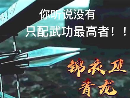 盘点大明十四式的各种功能,什么是大明十四式?只配武功最高者!