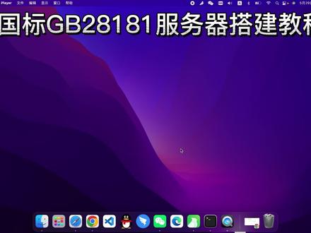 搭建自己的国标GB28181服务器#安防 #gb28181