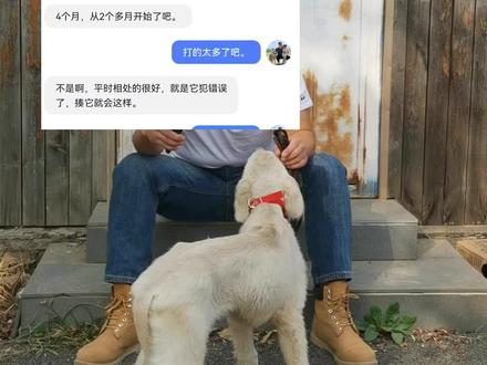 打狗不是目的#训犬 #宠物 #护食 #狗越打越凶 #养狗经验分享