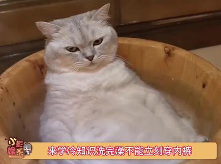 洗澡不能即刻穿衣服,潮湿的环境会滋生细菌
