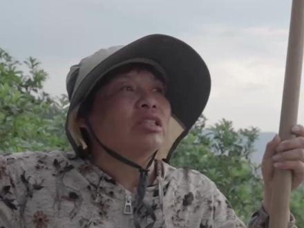 漳州“泡药杨梅”风波牵连浙江仙居③ 漳州“泡药杨梅”风波牵连浙江仙居③ 近期,闹得沸沸扬扬的福建漳州“泡药杨梅”事件,不仅引发全网对鲜果安全的信任危机,即将大量上市的浙江仙居东魁杨梅也惨遭牵连。浙江仙居阿姨种杨梅几十年,孩子的读书钱都靠这个,骂黑心商人:干这种事,真没良心。 #杨梅 #杨梅信任风波 #漳州“泡药杨梅”风波牵连浙江仙居 #果农