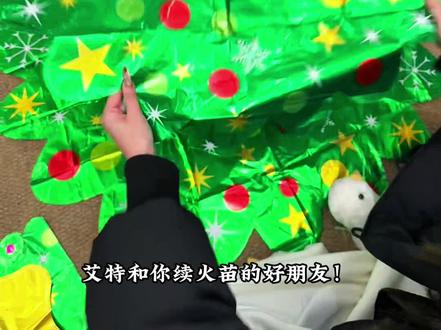 好朋友 你也会给我做这个圣诞树的对吧~#是时候安排一下了 #圣诞树 #仪式感