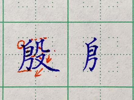 百家姓硬笔楷书——殷#规范字书写 #硬笔楷书 #硬笔书法