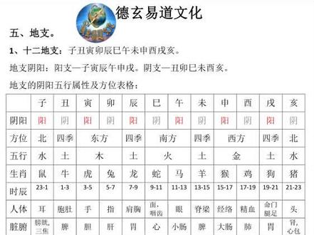 #十二地支 所对应#阳阳阴五行方位生肖 表格与手掌位置快速点指记忆
