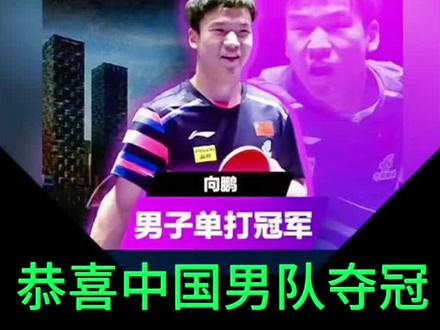 2026伦敦世乒赛,恭喜中国男队夺冠,向鹏一次未上场,这是为何