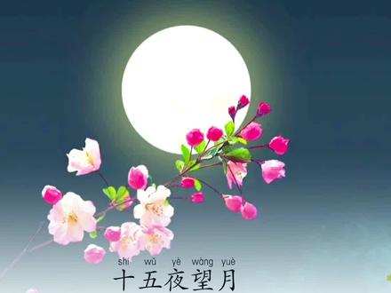 《十五夜望月》今夜月明人尽望,不知秋思落谁家。#古诗词 #国学智慧 #诗词 #传统文化 #语文 @抖音青少年