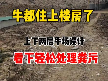 牛场上下两层设计,可以轻松处理养殖粪污,一起了解下#养牛人 #养殖 #养殖粪污处理 #现场实拍 #养牛