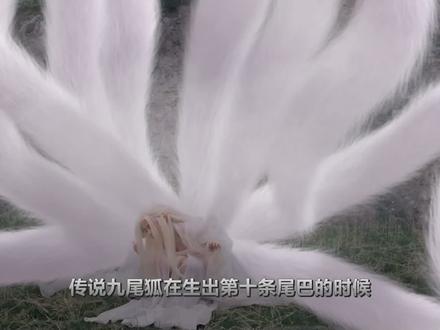 苏妲己本是十尾灵狐,是谁斩断了她成仙的机缘?难怪她要覆灭西岐