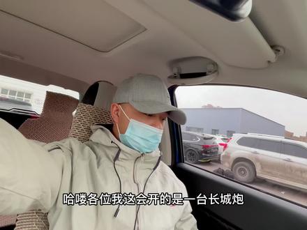 给这个长城炮检测一下故障码并尝试清理