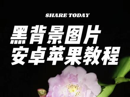 黑背景照片安卓个苹果拍摄技巧分享。#手机摄影#手机拍照教程 #手机摄影技巧#真实生活分享计划 #路边遇到矮花丛就这样拍