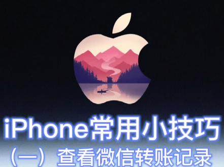 #iphone #微信 如何查看完整的微信转账记录 #网络安全有你有我