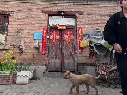 跳⃠躍⃠不⃠是⃠罪⃠過⃠ 跳⃠躍⃠不⃠是⃠罪⃠過⃠@饺子ㅤ @欢 喜🌟 @龙战士徐诺 @阿珍呐~ @卢小样
#禅者行脚舞蹈挑战 #禅者行脚 #跳跃不是罪过 #农村生活