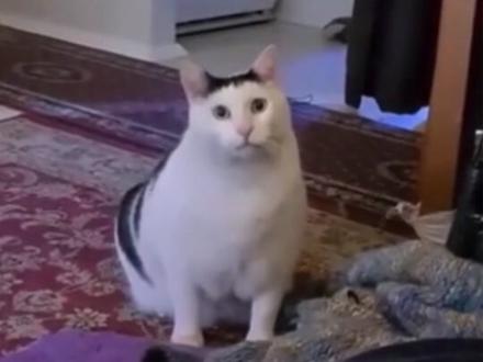 这世界还是癫成了我无法想象的模样!太离谱了... #德国 #性别自由 #万万没想到 #震惊