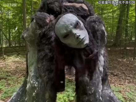 身边这四种动物的诡异行为,可能是致命的“危险信号”! #科普 #安全 #动物