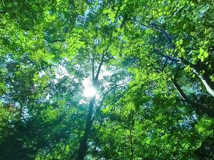 (影子踩够了就接吻)
序章
致歉一切#有声剧
#付彬言 #穆瑞恩 #馒头的橹 #lm