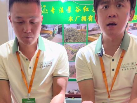 云南茶叶不是树叶子#茶叶#搞笑#云南#农村生活