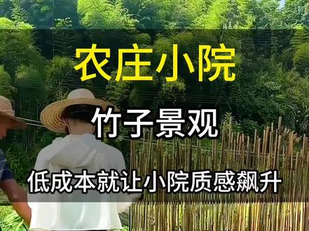 打造小院围栏时,将竹子简单改造就能得到一个漂亮的围栏。#宏景文旅 #规划设计 #农场规划 #农庄规划 #竹子