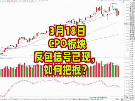 3月18日CPO板块反包信号已现,如何把握?