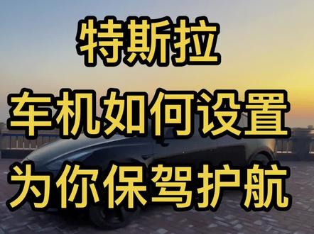 #特斯拉 车机如何设置为你保驾护航!新车主建议观看!#特斯拉modely #特斯拉model3 #特斯拉使用小技巧 #特斯拉用车小妙招