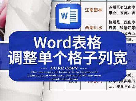 第215集 Word表格如何调整列宽与移动位置 强哥聊办公 word, 聊聊技术,掌握点办公知识和技巧;