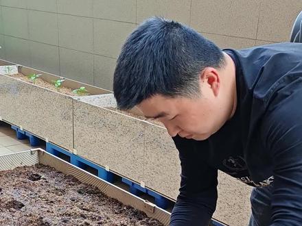 空心菜的这样种植,会不会翻车呢#家庭种菜 #阳台种菜