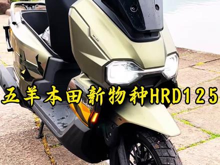五羊本田新物种HRD125完整视频,关于这台车更多的优缺点,等我自己的车到了给大家做长测。#五羊本田HRD125#五羊本田#本田摩托车踏板车#踏板摩托车 #125踏板