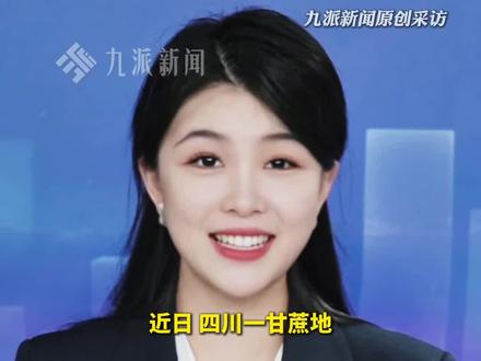 11月21日,四川眉山,#种植户回应推出9块9偷甘蔗活动 :为增加体验感,带狗在地里追,24小时营业,一晚上卖五六百根。