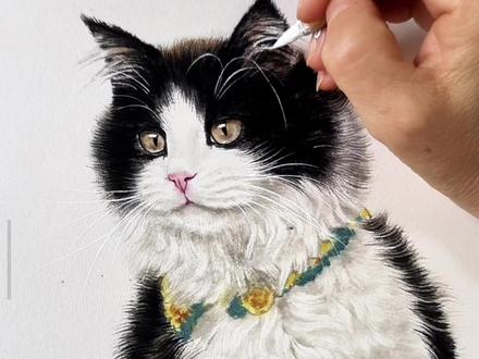 奶牛长毛猫的画法 #国画 #国画小猫 #零基础学画画 #国画教程 #百young非遗计划