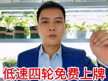 低速四轮车上牌新政策。#八葆素 #八葆素保花保果 #八葆素辣椒促花膨果 @辣帮主