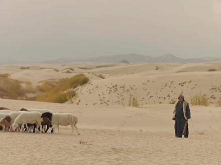 前往北戴河的必去景点之塞罕坝:
塞罕坝位于内蒙古高原的东南缘,地跨蒙古高原的南部边缘,处于阴山山脉东端、大兴安岭山脉南端、燕山山脉西北端汇合处,冀蒙交界地,属冀北山地与内蒙古高原交汇区,是坝下、坝上过渡带和森林——草原、森林——沙漠交错带。塞罕坝地处典型的森林—草原交错带和高原—丘陵—曼甸—接坝山地移行地段,既有森林、又有草原;既有河流、又有湖泊;既有山地、又有高原;既有丘陵、又有曼甸。塞罕坝曾是一片绿洲,是皇家猎苑。后来,开垦伐木,逐渐变成了一望无际的荒漠,黄沙荡荡,看不到尽头。
半个多世纪以来,三代塞罕坝人艰苦创业、接续奋斗,建成了世界上面积最大的人工林场,创造了荒原变林海的人间奇迹。
塞罕坝,从一棵树到百万亩林海,从荒漠变绿洲。
这,就是塞罕坝。
#旅行推荐官 #塞罕坝 #避暑胜地 #不一样的风景 #旅游让生活更美好