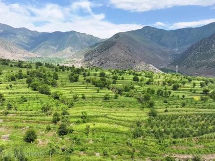 伊朗风景 伊朗的沙漠、山川、海岸、建筑以及季节
#风景 #伊朗 #假期愉快