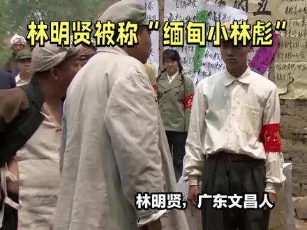 #中视频伙伴计划 @DOU+小助手