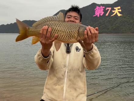 荒野巨幕挑战赛第七天,这一下子又好起来了呀 #抖音荒野垂钓季#沃鼎王者神剑四代#美人鱼千斤顶荒野巨物挑战赛#钓鱼的乐趣只有钓鱼人懂