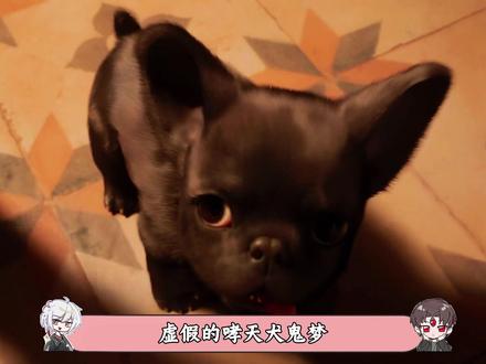 虚假的哮天犬鬼梦,真正的哮天犬李阳, #神秘复苏 #杨间 #我在抖音看动漫 #动漫编年史 #动漫推荐