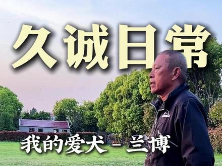 给大家看看我的爱犬——兰博#训犬 #训犬师 #训犬学校
