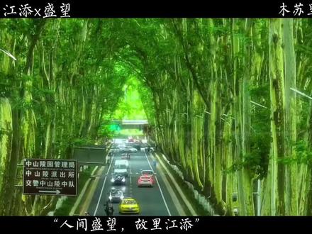 #某某 #江添盛望 #治愈系风景 #梧桐 #梧桐枝桠疯长爱意贯穿心脏