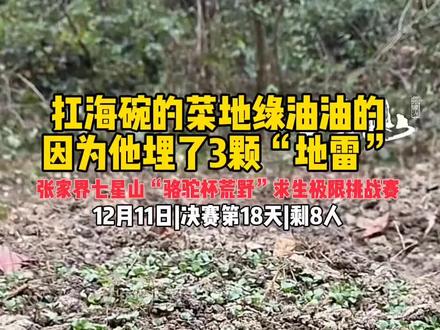 扛海碗的菜地绿油油的,是因为他买了三颗“地雷”#张家界七星山#张家界七星山骆驼杯#老六荒野@荒野扛海碗(杨亦宸)