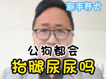 所有的公狗都会抬腿尿尿吗? 母犬会不会?你家的狗子是怎么嘘嘘的~~#宠物知识 #新手养狗 #科学养犬