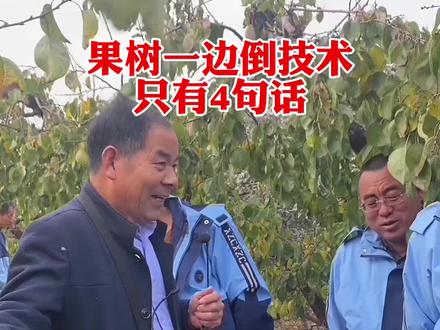 果树一边倒技术 #农业#三农 #农村生活 #果树#社会百态 @一边倒 杨馥瑕 3720·0810 @一边倒李洪杰 @一边倒 李述里 @一边倒农业:刘建波