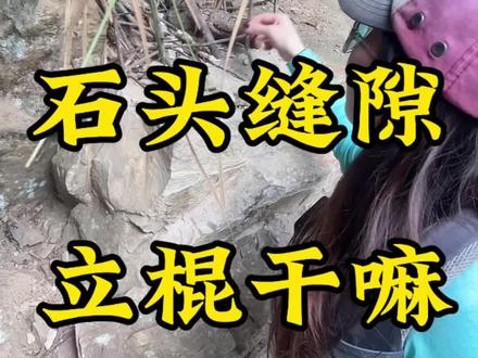 木棍支山,腰腿不酸!#户外徒步登山 #爬山 #真实户外 #木棍支山 #户外知识