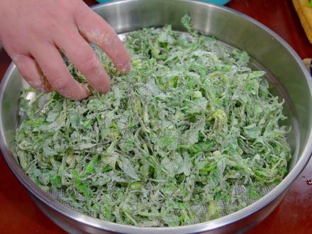 春天到了吃野菜的季节,这样做的蒸荠菜,不粘不坨,简单好吃 #蒸荠菜 #不粘不坨 #简单好吃