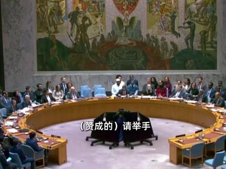 最新!安理会通过涉加沙战后安排决议 中、俄投下弃权票 #安理会 #新闻热点 #弃权票 #中俄 #加沙局势最新消息